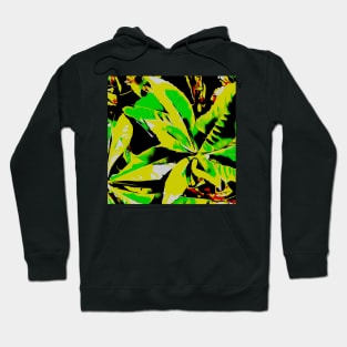 Stocksom I Love Leaves 5 Hoodie